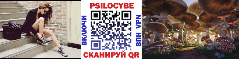 Псилоцибиновые грибы Cubensis  Балей 